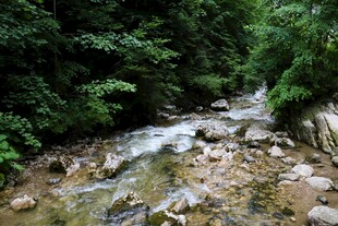 山间溪流潺潺绿意环绕