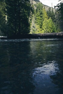 宁静山林间的清幽河流