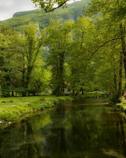 林间溪流 绿意盎然的景致