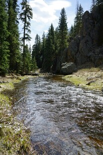 山间清澈溪流风景图