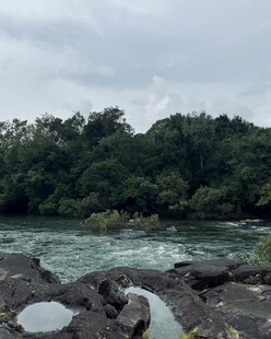 河畔岩石与葱郁树林景观