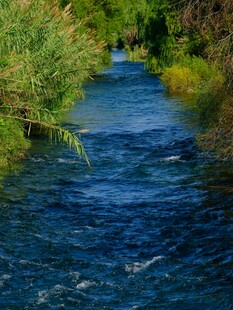 潺潺溪流伴两岸葱郁草木