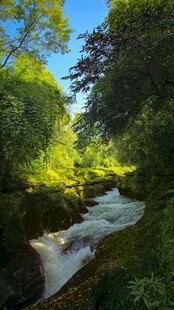 山间溪流绿意盎然的美景