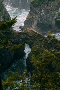 岩石与绿植的交融