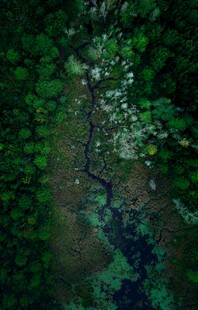 俯瞰葱郁山林中的蜿蜒溪流