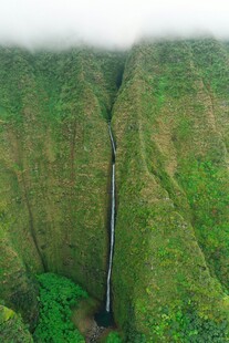 壮观峡谷中的绿色自然景观