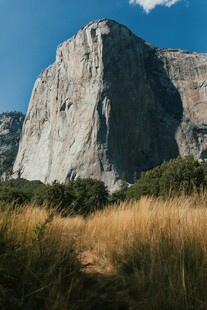 雄伟山峰下的草地景观