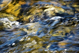 潺潺溪流中的多彩石块