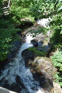 山间溪流潺潺绿意环绕