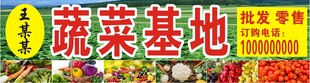 蔬菜基地