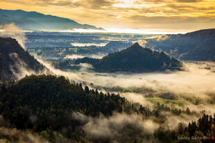 山间晨雾中的壮丽日出景观