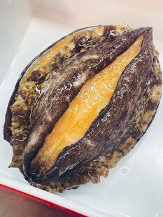 烤茄子特写