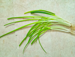 新鲜嫩绿小葱