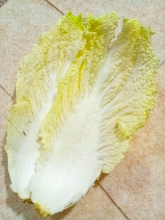 新鲜半颗大白菜