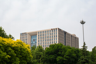 绿树环绕的现代办公建筑