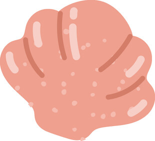 粉色贝壳插画