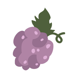 紫色葡萄插画