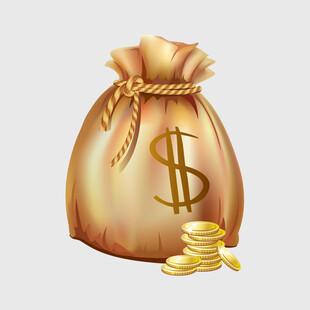 装满金币的钱袋