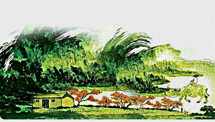 河畔村落风景图