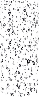 水滴水珠2