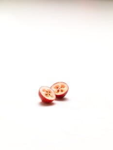 蔓越莓