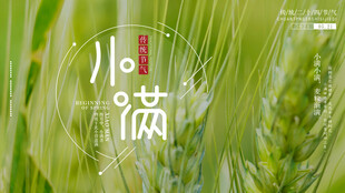 小满时节麦穗初熟景象