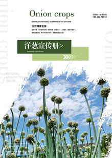  洋葱农业宣传册