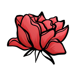 手绘红色花朵图案