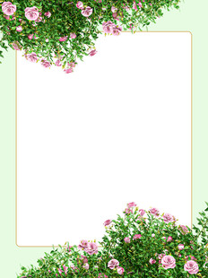 花卉边框背景