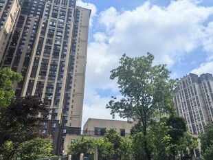 城市高楼与绿树景观