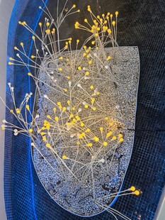 玻璃花瓶中的发光装饰花