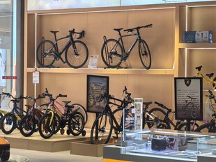 自行车陈列展示架上的多款车