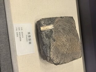 古老石器展品