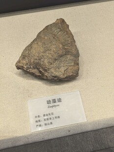 原始石制砍砸器展示