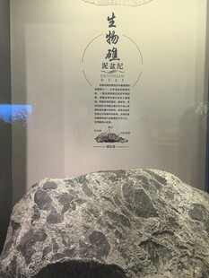 古典奇石配书法展示