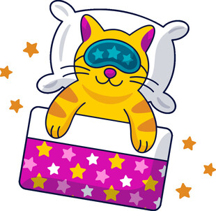 熟睡的萌猫盖着星星被子