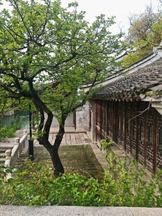 中式庭院一角的古朴景致