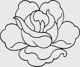 简约线条勾勒的美丽花朵