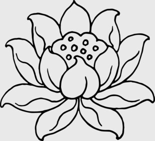 莲花线稿图案设计素材图片