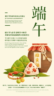 传统端午美食插画展示