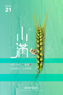 小满时节麦穗插画