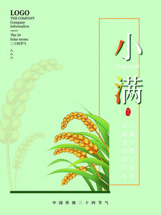 小满时节麦穗插画