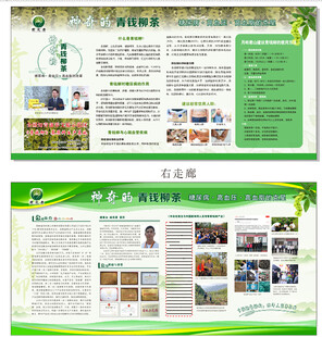 企业宣传册设计展示