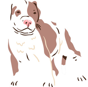 可爱斑纹斗牛犬插画