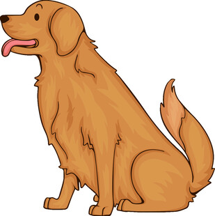 坐着的金毛犬