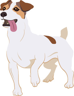 可爱杰克罗素梗犬形象