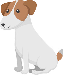 可爱坐姿杰克罗素梗犬