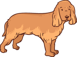 可爱棕色长毛猎犬插画