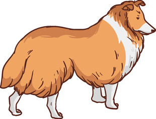站立的长毛牧羊犬