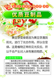 优质豆芽